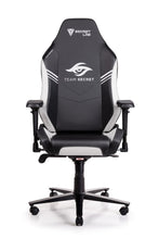 Load image into Gallery viewer, Secretlab OMEGA 2018