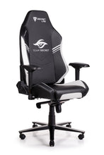 Load image into Gallery viewer, Secretlab OMEGA 2020