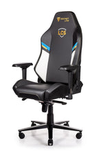Load image into Gallery viewer, Secretlab OMEGA 2018