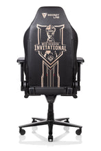 Load image into Gallery viewer, Secretlab OMEGA 2018