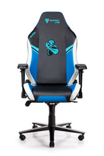 Load image into Gallery viewer, Secretlab OMEGA 2020
