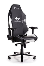 Load image into Gallery viewer, Secretlab OMEGA 2020
