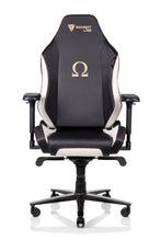 Load image into Gallery viewer, Secretlab OMEGA 2020
