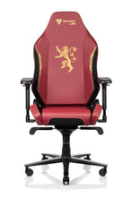Load image into Gallery viewer, Secretlab OMEGA 2020

