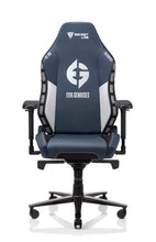 Load image into Gallery viewer, Secretlab OMEGA 2020
