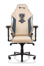 Load image into Gallery viewer, Secretlab OMEGA 2020

